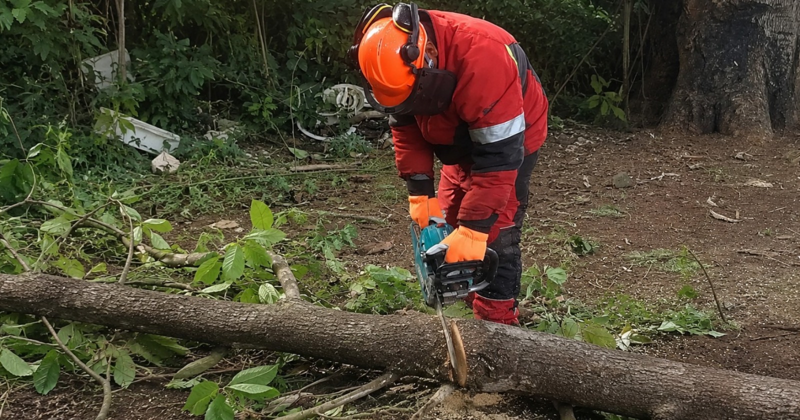 Curso de Manejo Seguro de Motosierra en Panamá