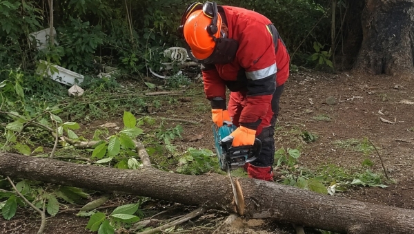 Curso de Manejo Seguro de Motosierra en Panamá